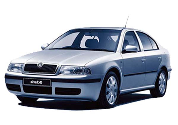EVA-коврики для Skoda/Шкода - любые модели и года выпуска