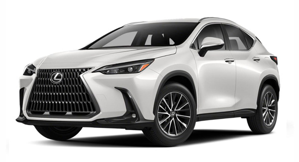 EVA-коврики для Lexus NX (2 поколение))